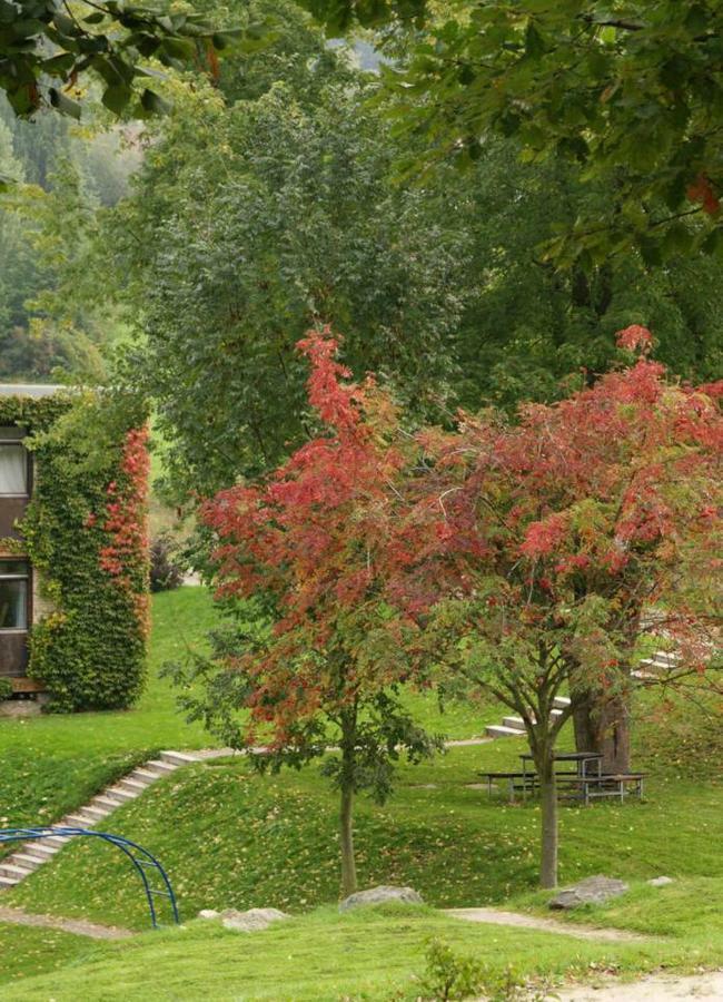 Ober-Hambach Waldblick Appartement מראה חיצוני תמונה