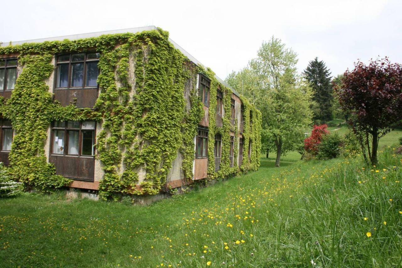 Ober-Hambach Waldblick Appartement מראה חיצוני תמונה